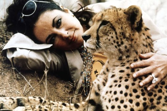 elizabeth taylor